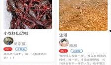 最新大料爆料配方视频,最新爆料视频深度解析